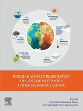 Fahad / Adnan / Zhou |  Biochar-assisted Remediation of Contaminated Soils Under Changing Climate | eBook | Sack Fachmedien
