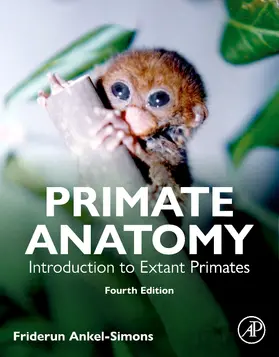 Ankel-Simons | Primate Anatomy | Buch | 978-0-443-21719-7 | sack.de