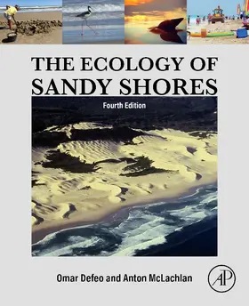 Defeo / McLachlan |  The Ecology of Sandy Shores | Buch |  Sack Fachmedien