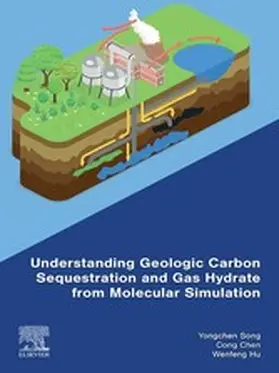 Song / Chen / Hu | Understanding Geologic Carbon Sequestration and Gas Hydrate from Molecular Simulation | E-Book | www.sack.de
