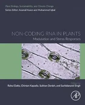 Datta / Kapadia / Danish | Non-coding RNA in Plants | E-Book | www.sack.de