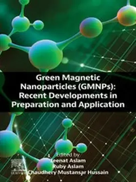 Aslam / Mustansar Hussain |  Green Magnetic Nanoparticles (GMNPs) | eBook | Sack Fachmedien