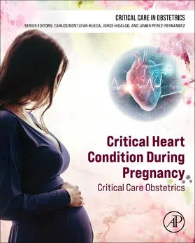 Hidalgo / Montufar-Rueda / Perez-Fernandez |  Critical Heart Condition During Pregnancy | Buch |  Sack Fachmedien