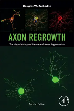 W Zochodne |  Axon Regrowth | Buch |  Sack Fachmedien