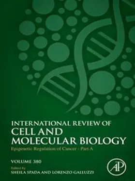 Spada / Galluzzi |  Epigenetic Regulation of Cancer - Part A | eBook | Sack Fachmedien