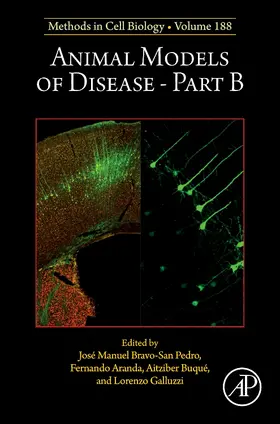 Animal Models of Disease Part B | Buch | 978-0-443-22240-5 | sack.de