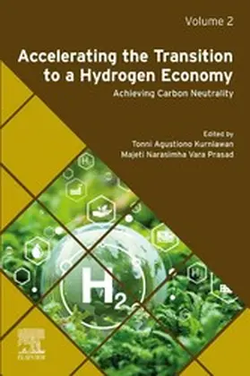 Kurniawan / Vara Prasad |  Accelerating the Transition to a Hydrogen Economy | eBook | Sack Fachmedien