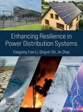 Li / Shi / Zhao |  Enhancing Resilience in Power Distribution Systems | eBook | Sack Fachmedien