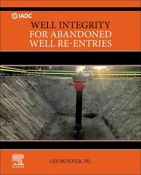 Skinner |  Well Integrity for Abandoned Well Re-entries | Buch |  Sack Fachmedien