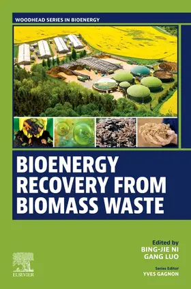 Ni / Luo |  Bioenergy Recovery from Biomass Waste | Buch |  Sack Fachmedien