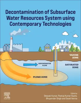 Kumar / Gupta / Singh |  Decontamination of Subsurface Water Resources System Using Contemporary Technologies | Buch |  Sack Fachmedien