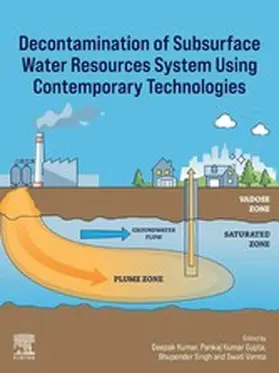 Kumar / Gupta / Singh |  Decontamination of Subsurface Water Resources System using Contemporary Technologies | eBook | Sack Fachmedien