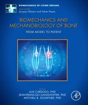Cardoso / Ganghoffer / Schaffler |  Biomechanics and Mechanobiology of Bone | Buch |  Sack Fachmedien