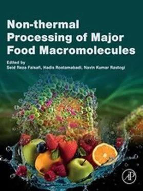 Falsafi / Rostamabadi / Rastogi M. Tech. |  Non-thermal Processing of Major Food Macromolecules | eBook | Sack Fachmedien