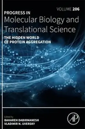 Dabirmanesh |  The Hidden World of Protein Aggregation | eBook | Sack Fachmedien