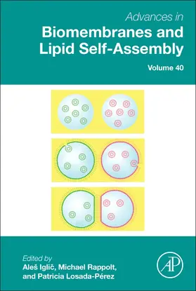  Advances in Biomembranes and Lipid Self-Assembly | Buch |  Sack Fachmedien