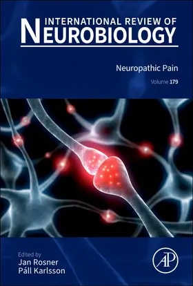  Neuropathic Pain | Buch |  Sack Fachmedien