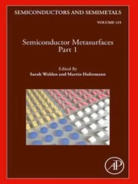 Hafermann / Walden |  Semiconductor Metasurfaces, Part 1 | eBook | Sack Fachmedien