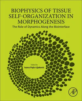  Biophysics of Tissue Self-Organization in Morphogenesis | Buch |  Sack Fachmedien