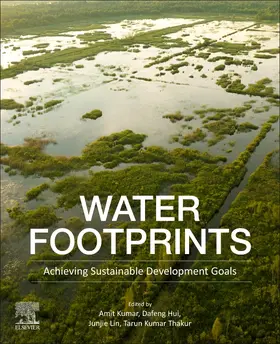 Kumar / Hui / Lin |  Water Footprints | Buch |  Sack Fachmedien