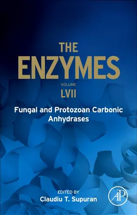  Fungal and Protozoan Carbonic Anhydrases | Buch |  Sack Fachmedien