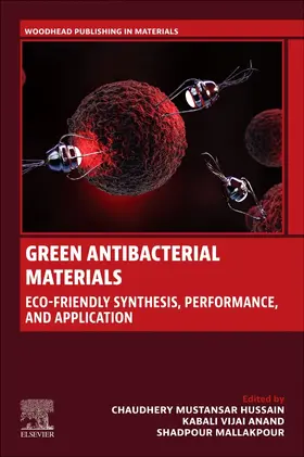 Mustansar Hussain / Anand / Mallakpour |  Green Antibacterial Materials | Buch |  Sack Fachmedien