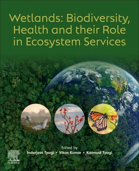 Tyagi / Kumar |  Wetlands: Biodiversity, Health and Their Role in Ecosystem Services | Buch |  Sack Fachmedien