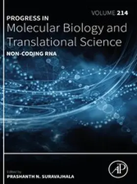  Non-coding RNA | eBook | Sack Fachmedien