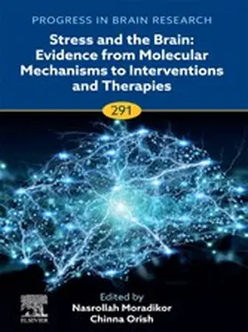 Moradikor / Orish | Stress and The Brain: Evidence from Molecular Mechanisms to Interventions and Therapies | E-Book | sack.de