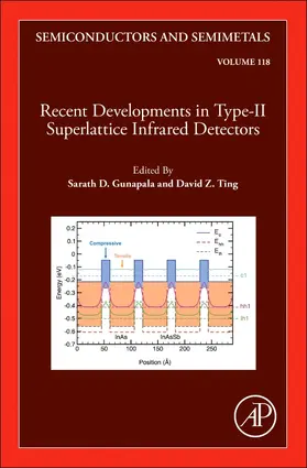 Recent Developments in the Field of IR Detectors | Buch | 978-0-443-34489-3 | sack.de