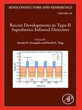Gunapala / Ting |  Recent Developments in the Field of IR Detectors | eBook | Sack Fachmedien