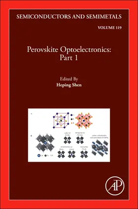  Perovskite Optoelectronics | Buch |  Sack Fachmedien