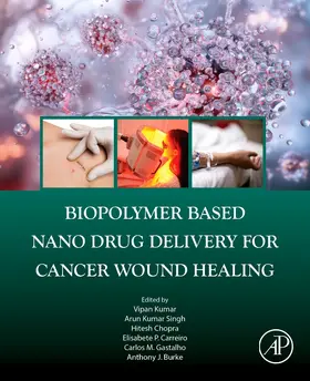 Kumar / Singh / Chopra |  Biopolymer Based Nano Drug Delivery for Cancer Wound Healing | Buch |  Sack Fachmedien