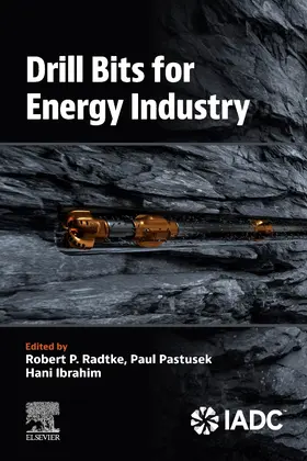 Pastusek / Radtke / Ibrahim |  Drill Bits for Energy Industry | Buch |  Sack Fachmedien