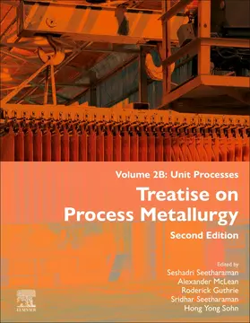 Seetharaman / McLean / Guthrie |  Treatise on Process Metallurgy, Volume 2B | Buch |  Sack Fachmedien