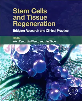Zeng / Wang / Zhou |  Stem Cells and Tissue Regeneration | Buch |  Sack Fachmedien