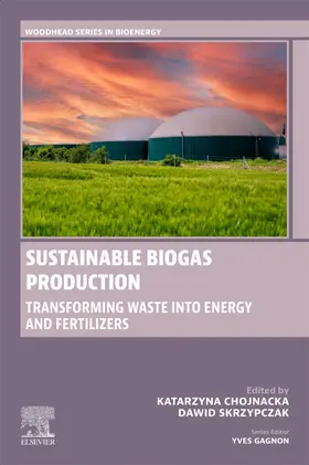 Skrzypczak / Chojnacka |  Sustainable Biogas Production | Buch |  Sack Fachmedien