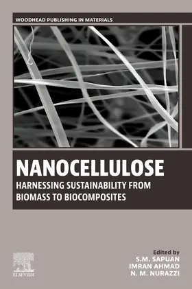 Sapuan / Ahmad / Nurazzi |  Nanocellulose: Harnessing Sustainability from Biomass to Biocomposites | Buch |  Sack Fachmedien