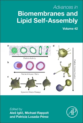  Advances in Biomembranes and Lipid Self-Assembly | Buch |  Sack Fachmedien