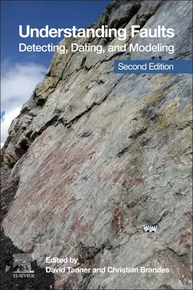 Tanner / Brandes |  Understanding Faults | Buch |  Sack Fachmedien