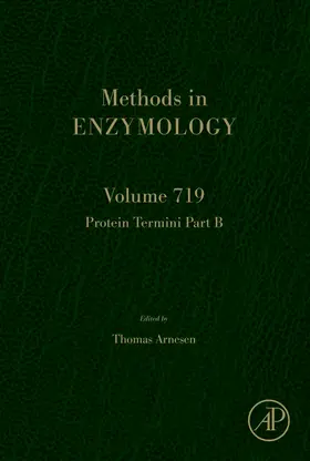 Protein Termini Part B | Buch |  Sack Fachmedien