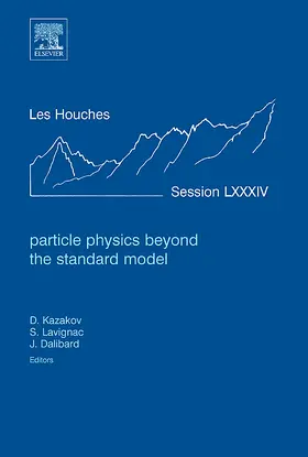  Particle Physics Beyond the Standard Model | Buch |  Sack Fachmedien