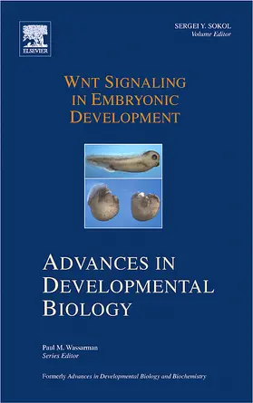 Sokol |  Wnt Signaling in Embryonic Development | Buch |  Sack Fachmedien