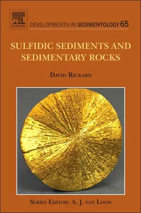 Rickard | Sulfidic Sediments and Sedimentary Rocks | Buch | 978-0-444-52989-3 | www.sack.de