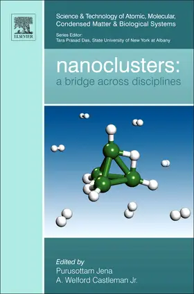  Nanoclusters | Buch |  Sack Fachmedien