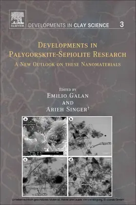 Singer / Galan |  Developments in Palygorskite-Sepiolite Research | eBook | Sack Fachmedien