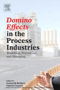 Reniers / Cozzani |  Domino Effects in the Process Industries | eBook | Sack Fachmedien