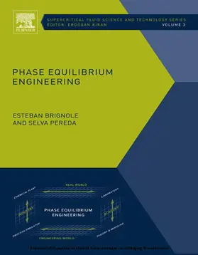 Brignole / Pereda |  Phase Equilibrium Engineering | eBook | Sack Fachmedien