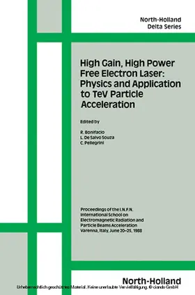 Bonifacio / de Salvo Souza / Pellegrini |  High Gain, High Power Free Electron Laser: Physics and Application to TeV Particle Acceleration | eBook | Sack Fachmedien