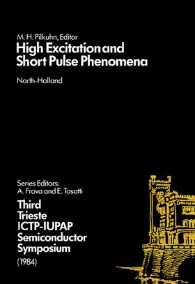 Pilkuhn | High Excitation and Short Pulse Phenomena | E-Book | www.sack.de